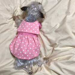 ☆着せやすい犬服☆ギンガムチェックのエプロンワンピース