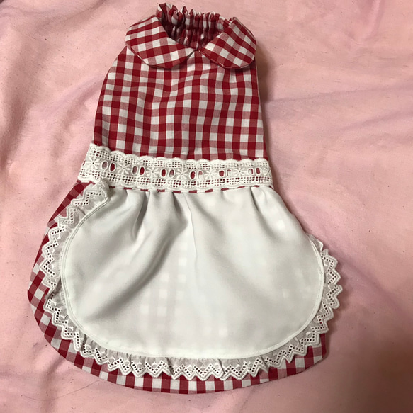 ギンガムチュニック　ギンガムワンピース　　♡オーダー受付中♡　犬服　ハンドメイド ギンガムチュニック　ギンガムワンピース　　♡オーダー受付中♡　犬服　ハンドメイド