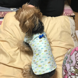 ☆着せやすい犬服☆ギンガムチェックのエプロンワンピース☆オーダー