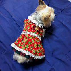 着せやすい犬服・オーダーメイドで！クリスマスチェックと柊のワンピース 1枚目の画像