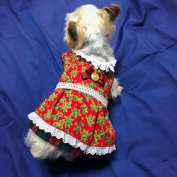着せやすい犬服・オーダーメイドで！クリスマスチェックと柊のワンピース 2枚目の画像