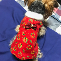 新柄入荷予定♪クリスマスリースのフワフワ襟付きワンピース・着せやすい犬服 1枚目の画像
