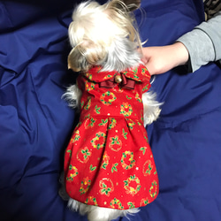新柄入荷予定♪クリスマスリース襟付きワンピース・着せやすい犬服 1枚目の画像