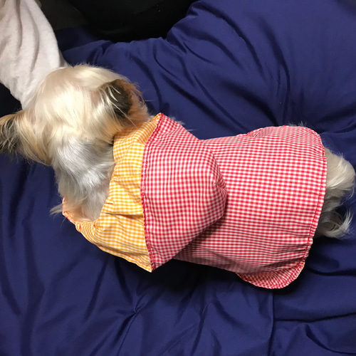 ☆ぴーろん様☆犬服☆ハンドメイド 犬服ハンドメイド （犬服ハンドメイドchouchouLupan | ドッグ