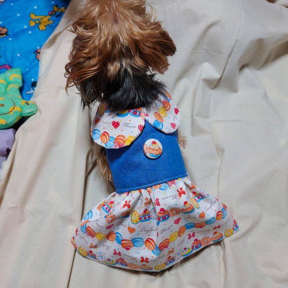 YUN様 犬服ハンドメイド　オーダー品 犬着物】若君 オーダーメイド 犬服 犬の着物 平安 | iichi 日々の