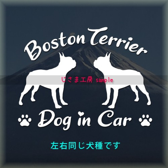 【同一犬種】　かわいい愛犬2頭飼い『Dog　in　Car』シルエットステッカー 1枚目の画像