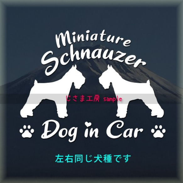 【同一犬種】　かわいい愛犬2頭飼い『Dog　in　Car』シルエットステッカー 1枚目の画像