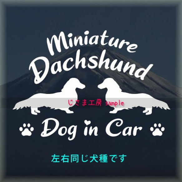 【同一犬種】　かわいい愛犬2頭飼い『Dog　in　Car』シルエットステッカー 1枚目の画像