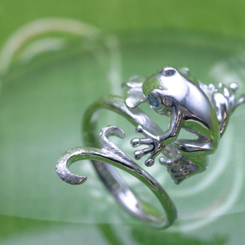 空色の瞳になったカエルのリング 指輪・リング 伽楽 潤一 通販 222299