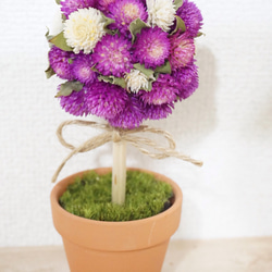 フラワートピアリー 0c6121c91c1e730bfe545293509ccf