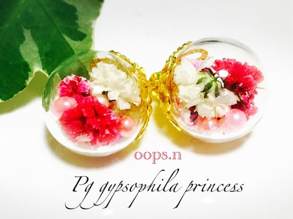 Pg gypsophila princess. かすみ草 パール ガラスドーム スタッドピアス 赤 ピンク 本物の花 1枚目の画像