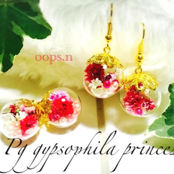 Pg gypsophila princess. かすみ草 パール ガラスドーム スタッドピアス 赤 ピンク 本物の花 3枚目の画像