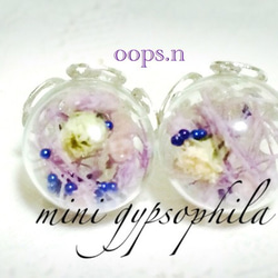 5 mini gypsophila かすみ草ガラスドーム大人ぷちピアス 『5』type 紫 パープル 1枚目の画像