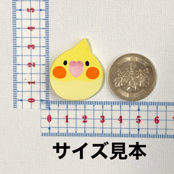 再販！オカメインコ ルチノーブローチ/マグネット 3枚目の画像