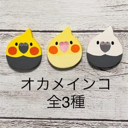 再販！オカメインコ ルチノーブローチ/マグネット 6枚目の画像