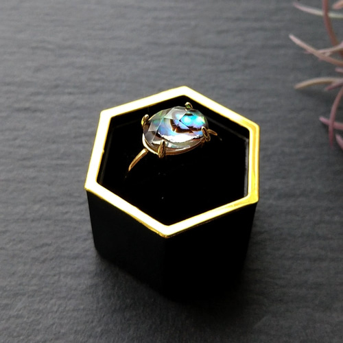 限定】 14kgf *Avalon shell×crystal アバロンシェル×クリスタル