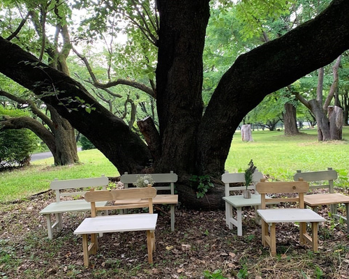 木製折りたたみができる わんこのベンチ小 座面アルバートル その他