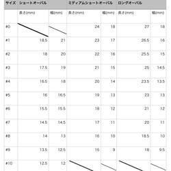 ネイルチップ(付け爪)　ホロフラワーネイル 5枚目の画像