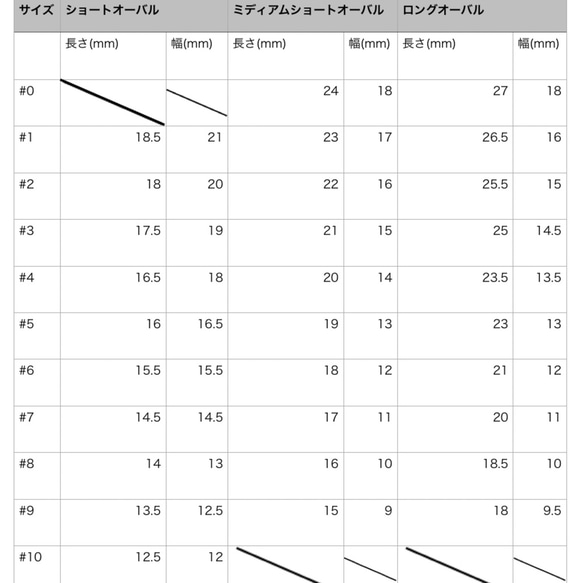 ネイルチップ(付け爪)　ホロフラワーネイル 5枚目の画像