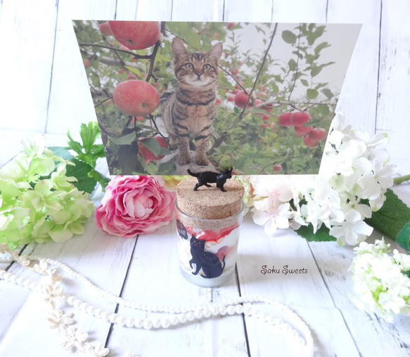 黒猫ジャーケーキのカードスタンド【いちご　or　マンゴー】 4枚目の画像