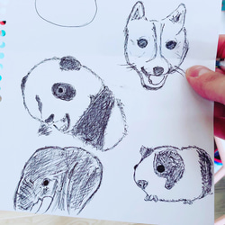 動物イラスト等 8枚目の画像