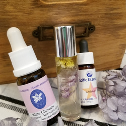 ペガサスプロダクツ 脳神経再生 発達障害 認知症 フラワーエッセンス