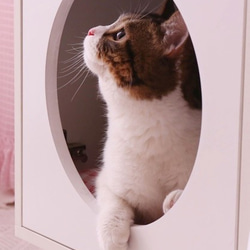 オーダーメイド 猫家具 キャットハウス 猫ベット キャットベット 白家具 モノトーン 家具 天然木 サイズオーダー可 2枚目の画像