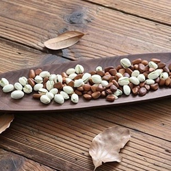 新品/未使用】ポーセラーツ/馬柄プレート6点セット 長皿 amica 通販