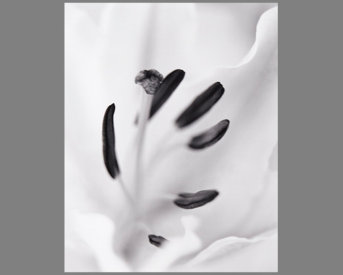 0_2c5b19c0bd69d98f1c9e5dec9917