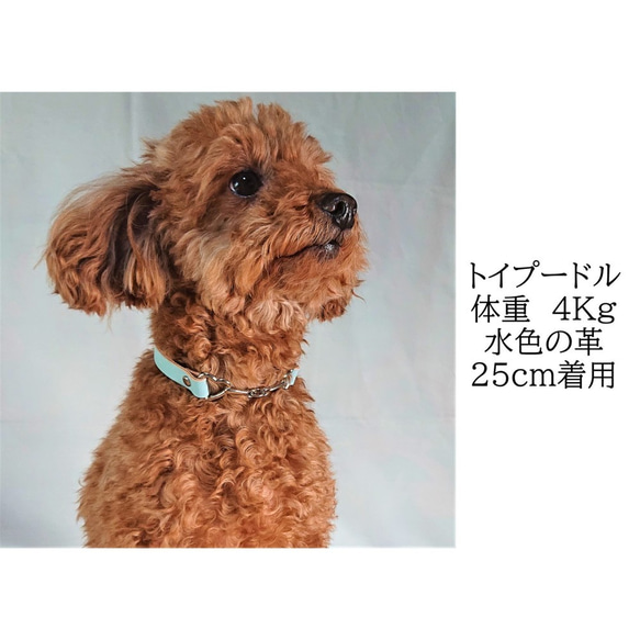 小型犬、中型犬用ヌメ革ネームチョーカー 7枚目の画像