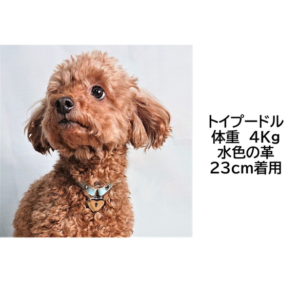 小型犬、中型犬用ヌメ革ネームチョーカー ハート型キー南京錠 7枚目の画像