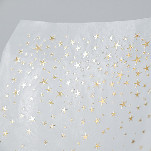 キラキラ☆グラシン封筒 箔押しセット☆ワールドクラフト 金箔 キラキラ☆グラシン封筒 箔押しセット☆ワールドクラフト 金箔