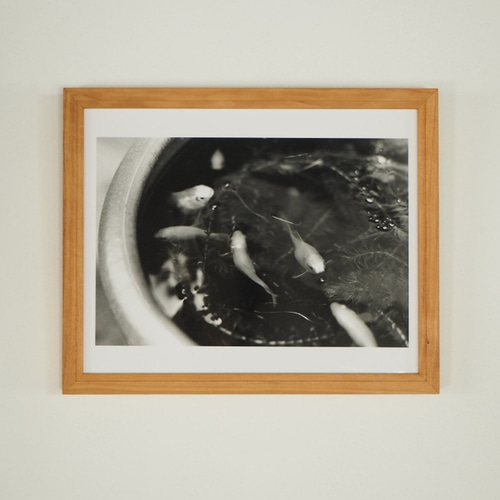 山桜の額縁 《インチ判 ポストカードサイズ はがき 2L判