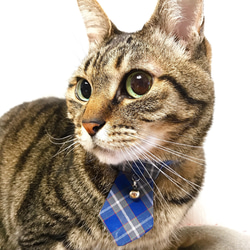 ネコタイ　猫用 ネクタイ 神戸タータン 猫 グッズ キャット ペット 首輪 カラー 紺色 ブルー チェック柄 3枚目の画像