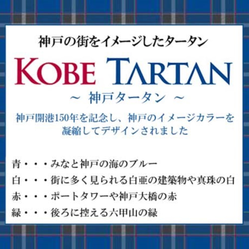 はりねずみキーホルダー 鍵 チャーム 海 ハリネズミ チェック柄