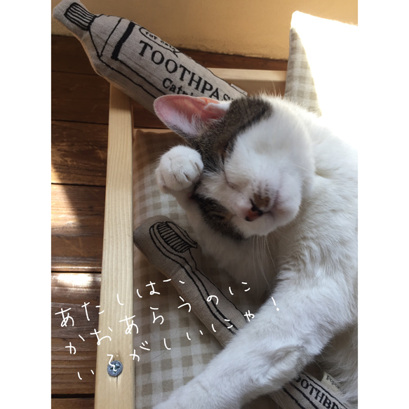 『猫のおもちゃ 』＊ハミガキ粉＊ キッカー&クッション 蹴りぐるみ 猫用歯ミガキ 10枚目の画像