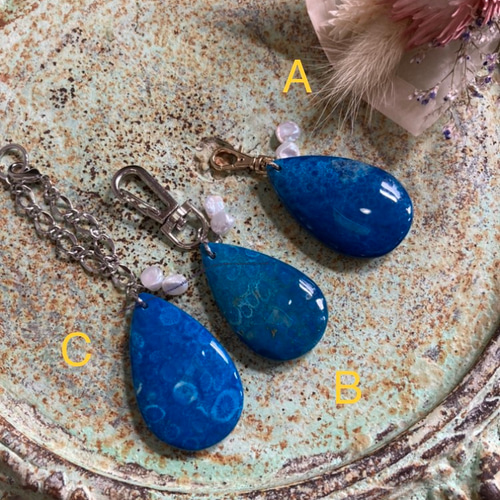 1 サンゴの化石　亀　(大)　天然石　 菊目石　珊瑚　コラール　縁起物　魔除け Amazon.co.jp: 1 サンゴの化石 亀 大 天然石 菊目石 珊瑚