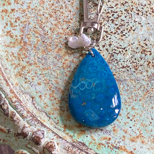 何億年もかけてメノウ化した ダイドマリンブルーフォッシルコーラル