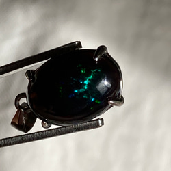 迫力の遊色　大粒14×10mm エチオピアンブラックオパール　ペンダントヘッド　ロジウムコーティングシルバー925 8枚目の画像