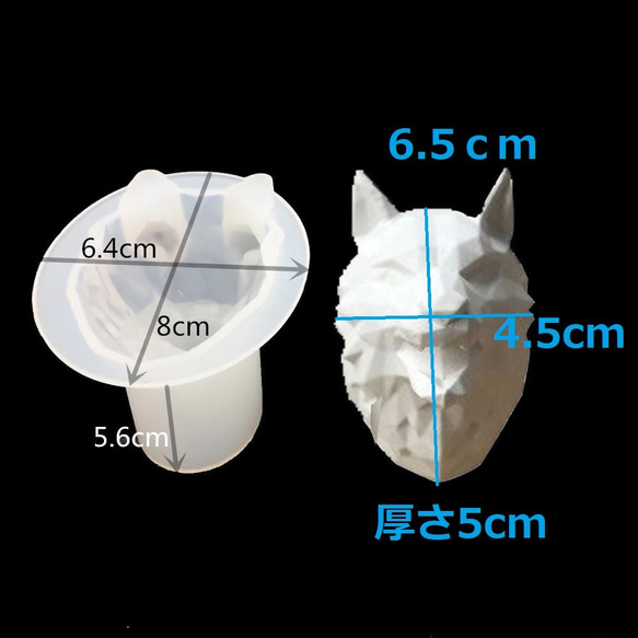  第2張的照片