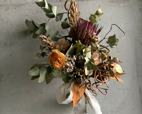 創作スワッグ　プロテア＆キュウイツル 創作スワッグ プロテア＆キュウイツル peindre] swag プロテアとキウイ