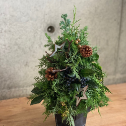 シルバーの星を添えた大人クリスマスツリー 6枚目の画像