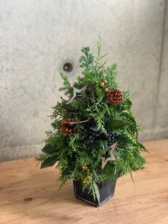 シルバーの星を添えた大人クリスマスツリー 6枚目の画像