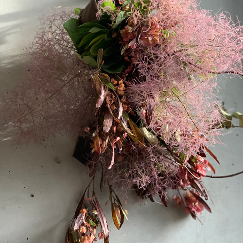 スモークツリー　ドライフラワー ドライフラワー］スモークツリー 商品ページ - 土と風の植物園