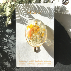 花園小馬鉤髮飾真花黃色黃色透明透明春夏髮箍 第5張的照片