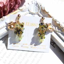 綠馬斯喀特金葉耳環耳釘金屬防過敏水果秋季綠色水果葡萄葡萄葡萄 第3張的照片