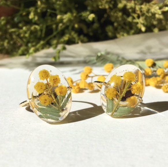 ミモザのオーバルフリーリング 指輪 イエロー 春 本物の花 レジン ナチュラル シンプル　黄色　クリア 1枚目の画像