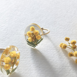 ミモザのオーバルフリーリング 指輪 イエロー 春 本物の花 レジン ナチュラル シンプル　黄色　クリア 3枚目の画像