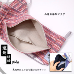 「遠州綿紬」立体布マスク(ポケット付き)-桜桃 4枚目の画像