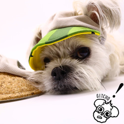 ドッグキャップ-ベージュxスイカ（耳出し）犬用帽子 6枚目の画像